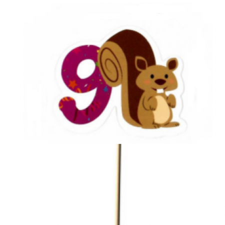 Smeigtukas "Skaičius devynetas ir voverytė"