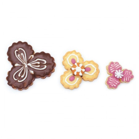 Formelių rinkinys "Gėlytės"