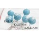 Dovanų kortelė "Kalėdiniai Cake Pops"