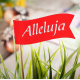 Velykinis smeigtukas "Alleluja" Velykinis smeigtukas "Alleluja"